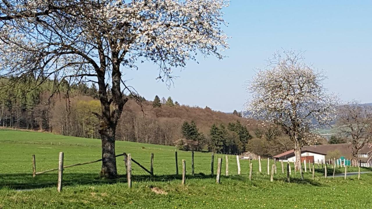 Ferienhaus Am Gehre *